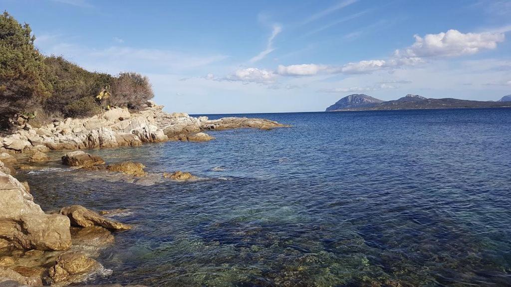 Appartamento A Porto Rotondo - Villaggio Punta Volpe - Iun S5393 المظهر الخارجي الصورة