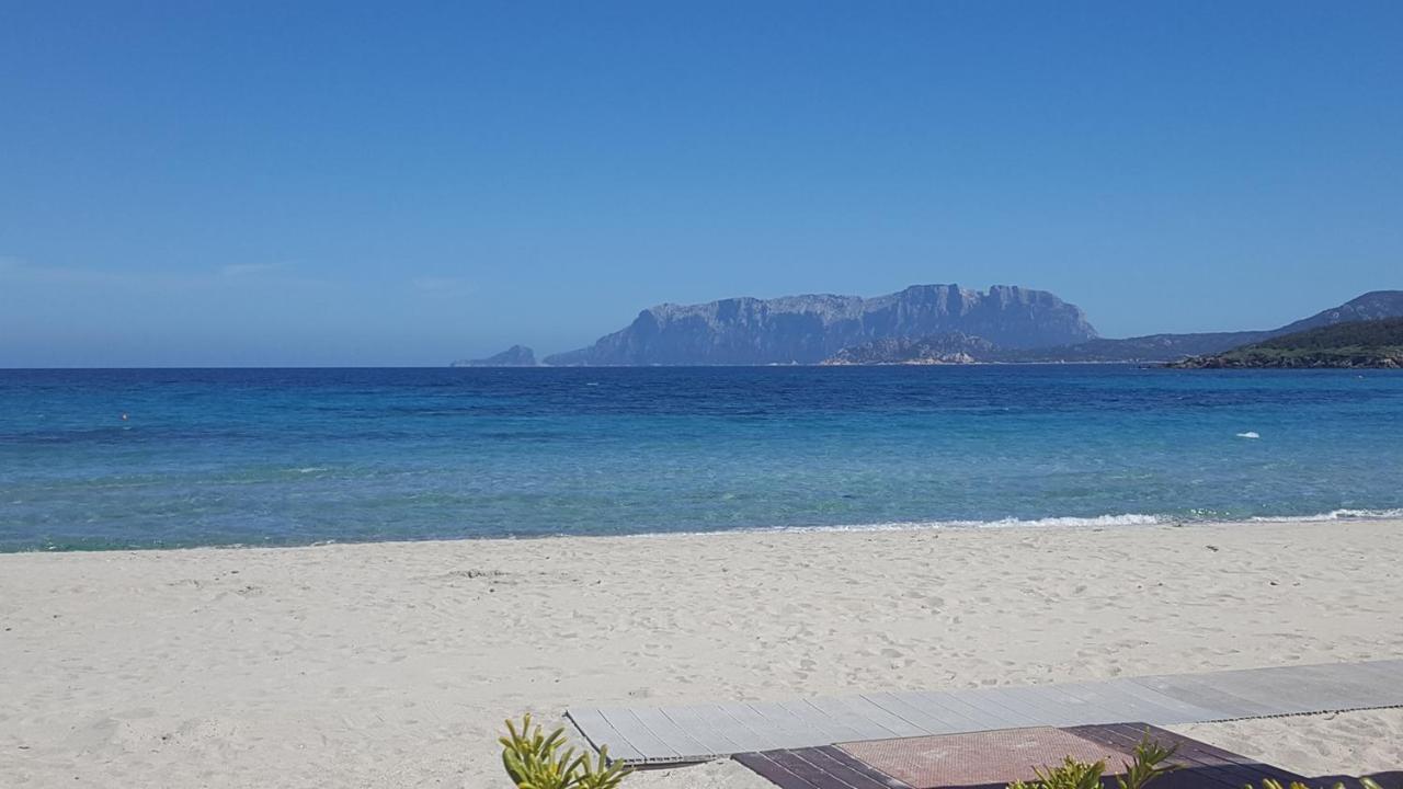 Appartamento A Porto Rotondo - Villaggio Punta Volpe - Iun S5393 المظهر الخارجي الصورة