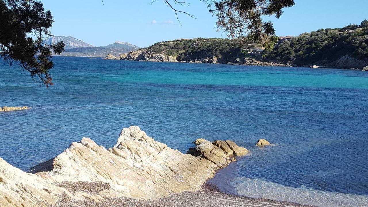 Appartamento A Porto Rotondo - Villaggio Punta Volpe - Iun S5393 المظهر الخارجي الصورة